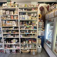   at Vegan Store Stall 83 in Rome