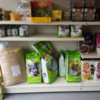 dog cat food  at Purely Vegan Store in Birmingham