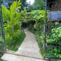 Beautiful green entrance  at Banlle in Siem Reap