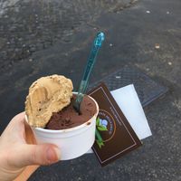 Vegan coffee and chocolate gelato! at Fonte della Salute in Rome