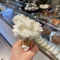 Lemon  at Fonte della Salute in Rome