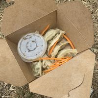 vegan dumplings  at Quy Nguyen - Vegan Living in Berlin