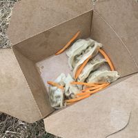 vegan dumplings  at Quy Nguyen - Vegan Living in Berlin