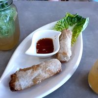 spring rolls at Quy Nguyen - Vegan Living in Berlin