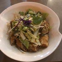 Spring rolls plate  at Quy Nguyen - Vegan Living in Berlin