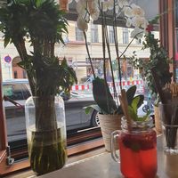 Nice plans and nice drink at Quy Nguyen - Vegan Living in Berlin