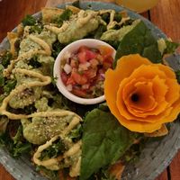 Tortillachips, kale, guacamole, vegan creme, salsa, hempseeds at Organico Fortuna in La Fortuna