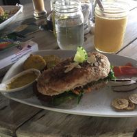 Falafel Sandwich at Organico Fortuna in La Fortuna
