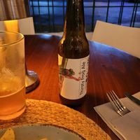 Local beer...thirsty frog at Organico Fortuna in La Fortuna