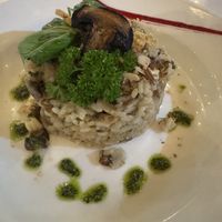 Mushroom risotto  at Organico Fortuna in La Fortuna