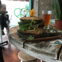 Vegan falafel sandwich  at Organico Fortuna in La Fortuna