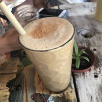 Brown Monkey at Organico Fortuna in La Fortuna