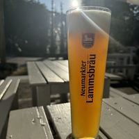 Dessert 😅 wheat beer - very nice   at Sattgrün in Essen