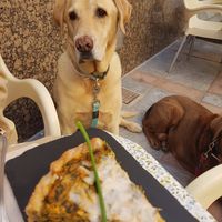 Tofu quiche at La Libelula Vegan Cafe in Fuengirola