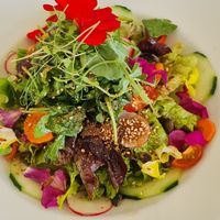 Salat Vegan at Manifattura Di Gelato in Calheta