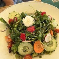 Großer Salat  at Manifattura Di Gelato in Calheta