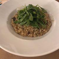 Risotto  at Manifattura Di Gelato in Calheta