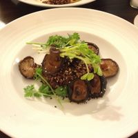 Shiitake mushrooms at Veggie Bean in Koh Samui