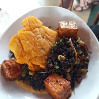  at Full Bloom in Miami Beach