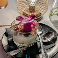 Tiramisu at Full Bloom in Miami Beach