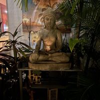   at Full Bloom in Miami Beach