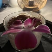   at Full Bloom in Miami Beach