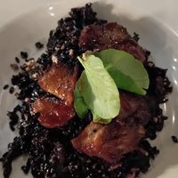  at Full Bloom in Miami Beach