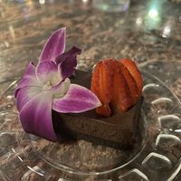   at Full Bloom in Miami Beach