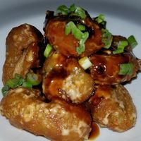 Mushroom at Full Bloom in Miami Beach