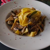 Vegetarian pasta with funghi at Pasta and Social in Rome