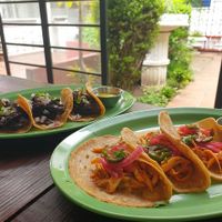 Tacos al pastor y cochinita pibil at SoyGreen in San Salvador