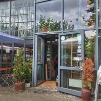  at Ronja in Muelheim