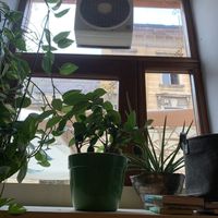   at BIOFresh in Timisoara