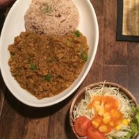 Curry indian style at VegRecar in Matsuyama