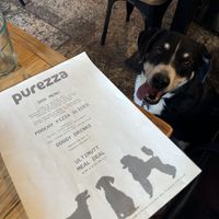   at Purezza in Brighton