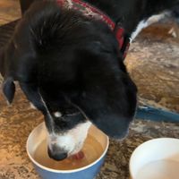   at Purezza in Brighton