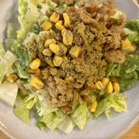 Caesar   at Purezza in Brighton