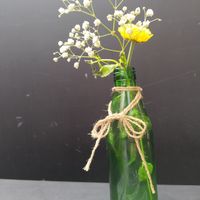  at Veggic in Plovdiv