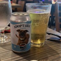   at Cider Press Pub in St Petersburg