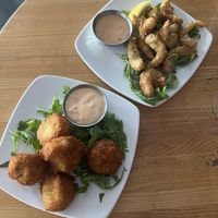   at Cider Press Pub in St Petersburg