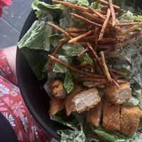   at Cider Press Pub in St Petersburg