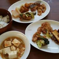 yummy oriental vegan food without 5 pungent roots at Kaemon Asakusa in Tokyo