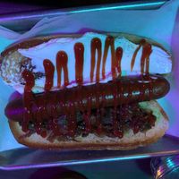 Seattle dog  at Cycle Dogs in Seattle