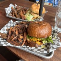   at Cycle Dogs in Seattle