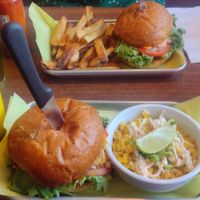  at Cycle Dogs in Seattle