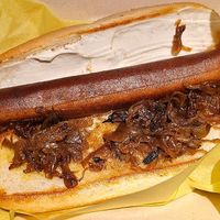 Seattle Dog at Cycle Dogs in Seattle