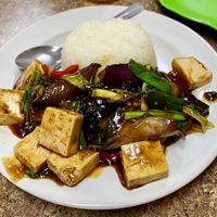 No oil eggplant & tofu with veggies and delicious sauce! at Pho Vegan Asian Cuisine in Rocklin