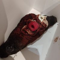  at La Besnéta in Barcelona