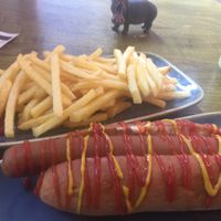 Hotdog and lots of fries at Vegan Hippo in London