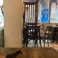 Interior @ Vegan Hippo, London at Vegan Hippo in London